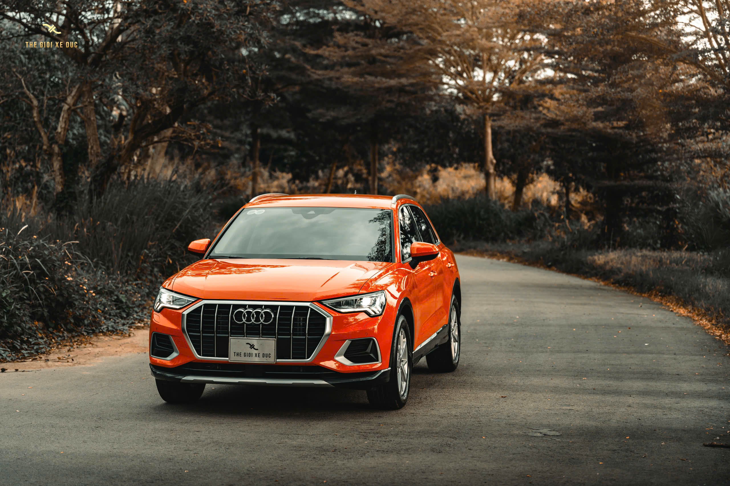 Bộ sưu tập Audi